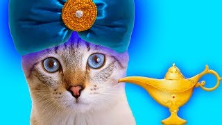 Сеня - джин!!! Развел ЮКИ-))) Сериалити от ЮКИ 12 серия