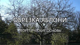 Как обрезать яблони. Теоретические основы обрезки (Краткое руководство)