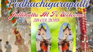 Peddasigaralapalli Panduga Place || Yallaru Vandhurunga || Hori Habba Jallikattu