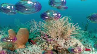 Free Bubbles 3D Screensaver for Windows HD