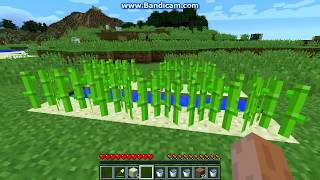 КАК РАЗВОДИТЬ или ВЫРАСТИТЬ сахарный тростник? В MINECRAFT