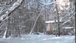 Футаж  Зимний день  Академгородок  Footage   000706