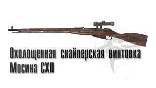(Видео Обзор) Охолощенная снайперская винтовка Мосина СХП
