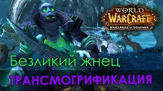 Безликий жнец, трансмогрификация Wow (Монах, Разбойник, Друид)