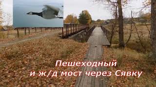 Посёлок Сява. Прогулка в леспромхоз. (Октябрь 2018 г.)