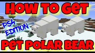 How to Get a PET POLAR BEAR in Minecraft - PS4 Edition - How to Have a Pet Polar Bear