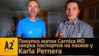 Матки #Карника от Карла Пернера (#KarlPerner, #ACA)