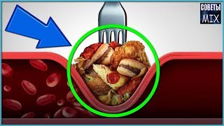 Продукты с самым высоким содержанием холестерина от которых стоит отказаться Советы для здоровья