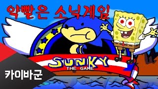[카이바군] 정신나간 약빨은 소닉게임 동심파괴 - Sunky