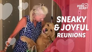 Sneaky & Joyful Reunions