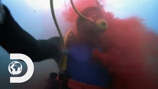 ?Eaten Alive - Great White Shark