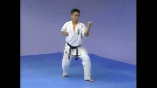 Каратэ Киокушинкай: Ката - Тайкиоку Соно Сан | Kyokushin Karate: Kata - Taikyoku Sono San