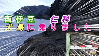 静岡県西伊豆仁科の沖磯でフカセ釣り2019年12月下旬