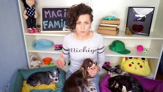 УБИЙСТВО КОТЕНКА! ЖИВОДЕРКИ ИЗ САМАРЫ! ШКОЛЬНИЦЫ ИЗ КИНЕЛЯ УБИЛИ КОТЕНКА!