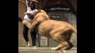 Shocking: Lion Attacks on Indian Woman