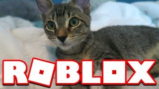 DUDE THE CAT IN ROBLOX