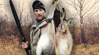 ОХОТА НА ЗАЙЦА 2019 в тумане. Охота на зайца осенью