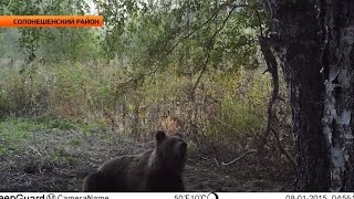 "Ловить браконьеров стало проще" ("Новости ОТН", 23.09.15г., Бийск)