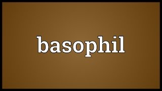 Basophil Meaning