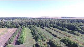 Новости Тулы: В Тульской области определены участки недр местного значения