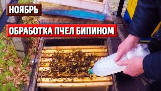 Обработка пчел бипином Работы на пасеке в ноябре