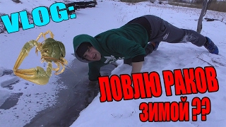 VLOG: ЛОВЛЮ РАКОВ ЗИМОЙ?! ЭТО ЖЕСТЬ! / Виталий Зеленый