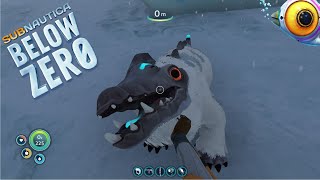 SNEAK PEEK SNOW STALKER BABY INTERACTION! Subnautica: Below Zero(experimental) Exploring Build 12819