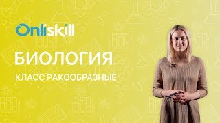 Биология 7 класс : Класс Ракообразные
