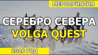 Гонки на собачьих упряжках в клубе Серебро Севера или Volga Quest в Тольятти.