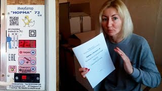 Луппер С8 и Норма 72 С 8: в чем разница между этими инкубаторами Блиц?