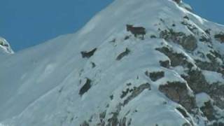 Dagestan tur hunting  Azerbaijan
