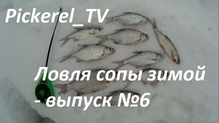 Ловля сопы (белоглазки) зимой / Первый выезд за сопой / Зимняя рыбалка на сопу - выпуск№6