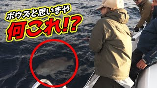 【衝撃】巨大な白い影の正体は...!!!