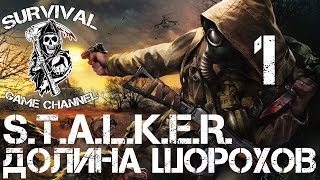 ДОЛИНА ШОРОХОВ — S.T.A.L.K.E.R.: Долина Шорохов прохождение [1080p] Часть 1