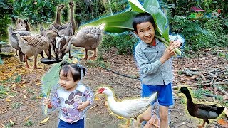Bé chơi với các con vật  cho đàn ngỗng ăn và cho cá trắm cỏ ăn lá chuối❤Ngân hà TV❤