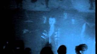 Dorsetshire - Erde, Ertrinken! (LIVE)