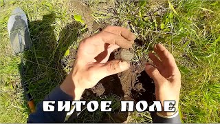 Поиск монет. БЛУЖДАЮЩАЯ ДЕРЕВНЯ (02.08.2015)