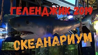 Геленджик 2019.  Океанариум.  Прогулка по набережной.