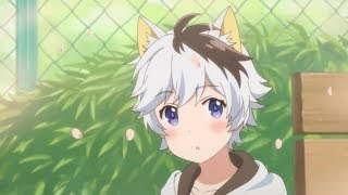 Uchitama?! Uchi no Tama Shirimasenka? (Spot)