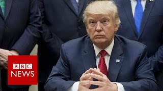 Five ways Donald Trump has changed the US - BBC News
