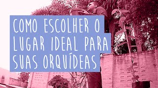 Como Escolher o Lugar Ideal para Suas Orquídeas