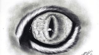 How to draw a cat's eye
