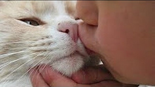 Why You Shouldn't Kiss your Cat