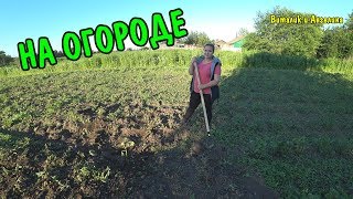 УРОЖАЙ НА ОГОРОДЕ / УБОРКА ТЕРРИТОРИИ / СКОСИЛ ВСЮ ТРАВУ / НАШ ОГОРОД