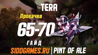TERA Кач новичка. Как апнуть 70 уровень в ТЕРА