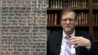 Talmud Daf Yomi Nedarim 9 Gemarrah Rabbi Weisblum דף יומי נדרים ט׳ הרב ויסבלום תלמוד גמרא