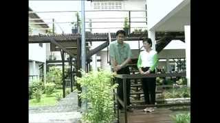 INSEE Insight ระบบสิ่งแวดล้อม INSEE Green Village