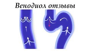 Венодиол отзывы