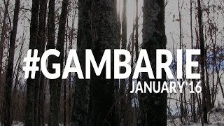 #GAMBARIE - UNA GIORNATA SULLA NEVE CON MELITO TV