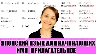 Японский язык для начинающих. Имя прилагательное. JLPT N5